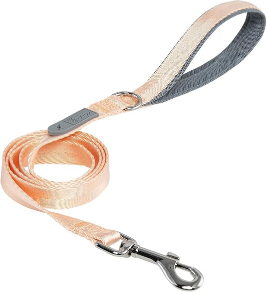 Premium Dog Leash, 4.2 ft Lenght Single Handle Leash, Hook Strong and Breathable Durable, Soft Cushioned Handle, Medium Dogs Leash, for Walking and Training (Orange Size 2)