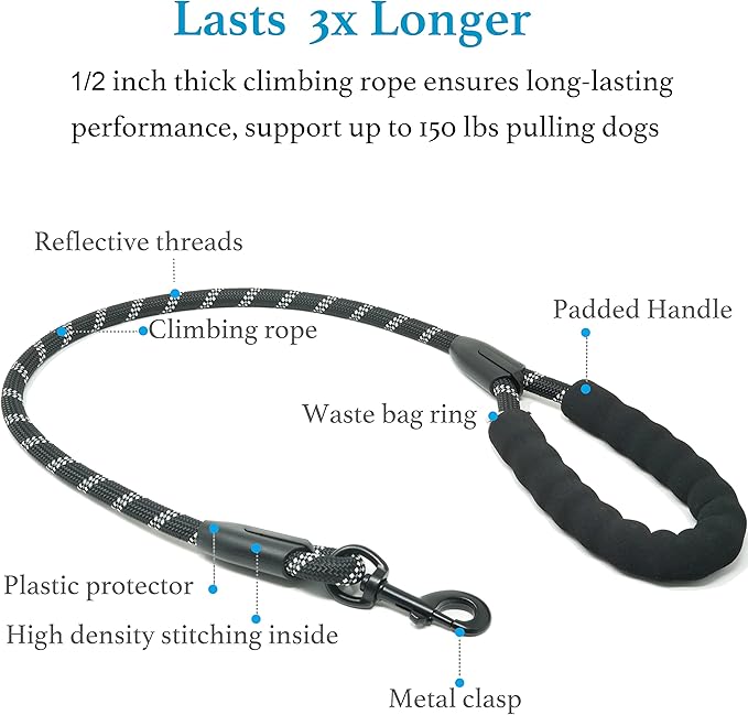 Dual Dog Leash - 360° Swivel, No Tangle Walking Leash with Shock Absorbing Bungee for Two Dogs (Large, 25-150 lbs, Black)