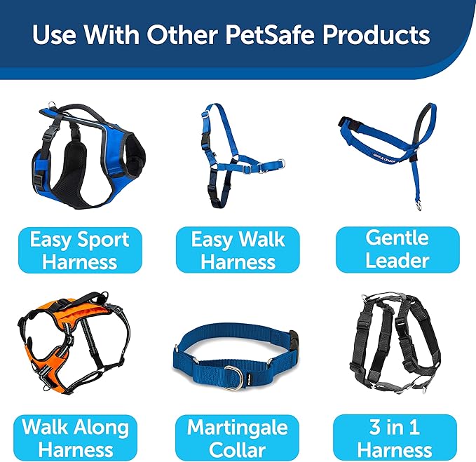 Nylon Dog Leash – Strong, Durable, Traditional Style Leash with Easy to Use Bolt Snap for Small, Medium and Large Dogs – 3/8" x 6', Royal Blue