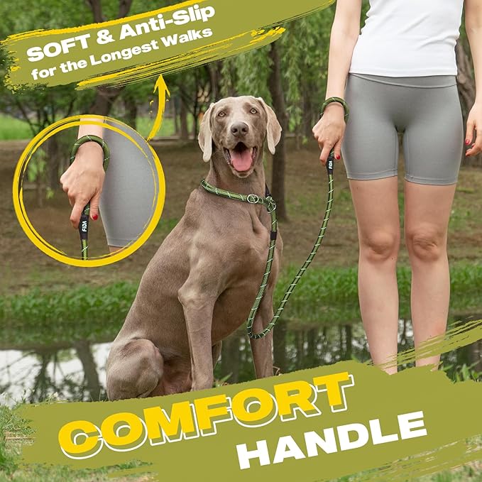 Durable Slip Lead, 6 FT x 1/2" Heavy Duty Loop Leash, Comfortable Strong Rope for Large, Medium Dogs, No Pull Pet Training With Highly Reflective, Green