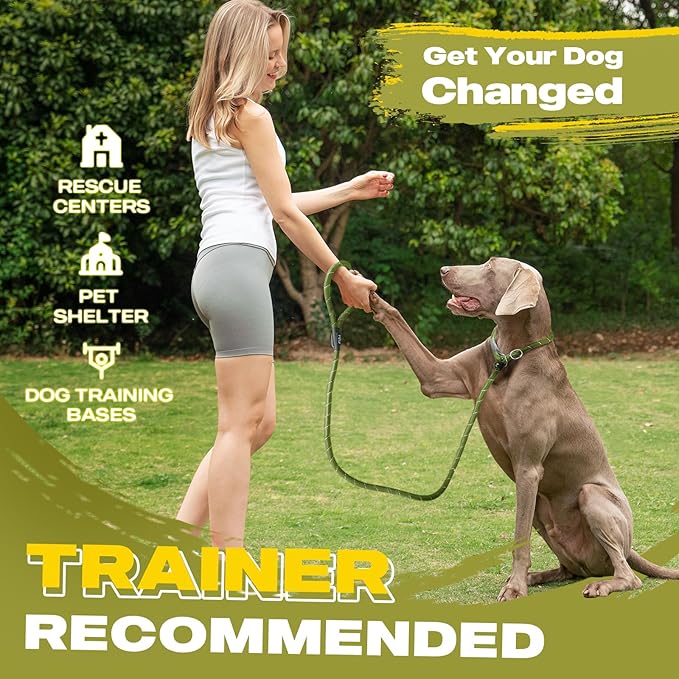 Durable Slip Lead, 6 FT x 1/2" Heavy Duty Loop Leash, Comfortable Strong Rope for Large, Medium Dogs, No Pull Pet Training With Highly Reflective, Green
