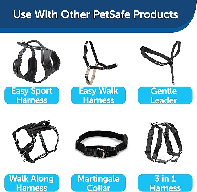 Nylon Dog Leash – Strong, Durable, Traditional Style Leash with Easy to Use Bolt Snap for Small, Medium and Large Dogs – 3/8" x 6', Black