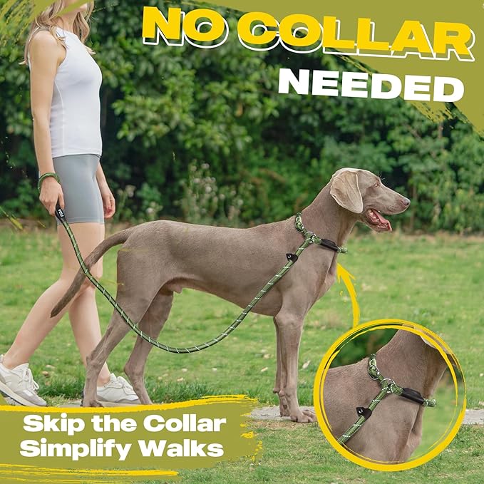 Durable Slip Lead, 6 FT x 1/2" Heavy Duty Loop Leash, Comfortable Strong Rope for Large, Medium Dogs, No Pull Pet Training With Highly Reflective, Green