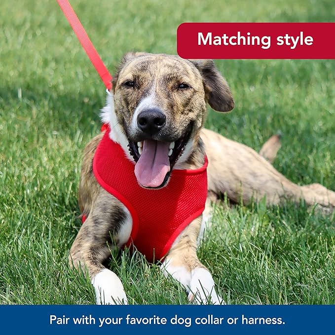 Single-Ply Dog Leash - Sturdy Pet Leash - Comfortable & Stylish - Resists Fraying - Vibrant & Fade-Resistant Color - Neon Pink, 3/8" x 6'
