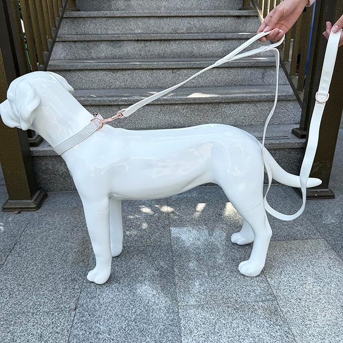 Dog Leash 6ft Long,Traffic Padded Two Handle,Heavy Duty,Double Handles Lead for Control Safety Training,Leashes for Large Dogs or Medium Dogs,Dual Handles Leads (Off-White, 25MM*6FT)