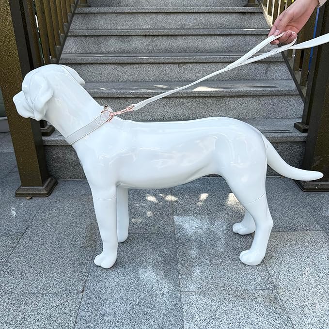 Dog Leash 6ft Long,Traffic Padded Two Handle,Heavy Duty,Double Handles Lead for Control Safety Training,Leashes for Large Dogs or Medium Dogs,Dual Handles Leads (Off-White, 25MM*6FT)