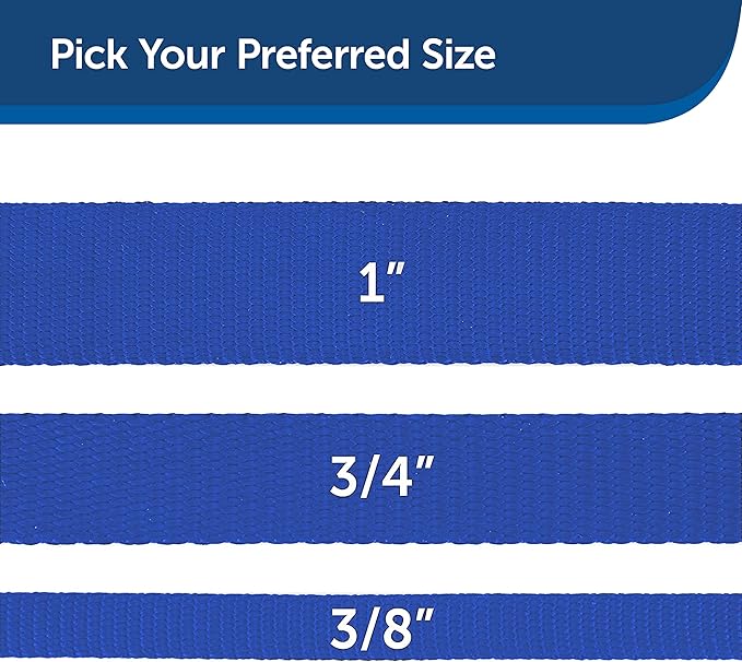 Nylon Dog Leash – Strong, Durable, Traditional Style Leash with Easy to Use Bolt Snap for Small, Medium and Large Dogs – 3/8" x 6', Royal Blue