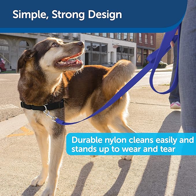 Nylon Dog Leash – Strong, Durable, Traditional Style Leash with Easy to Use Bolt Snap for Small, Medium and Large Dogs – 3/8" x 6', Royal Blue