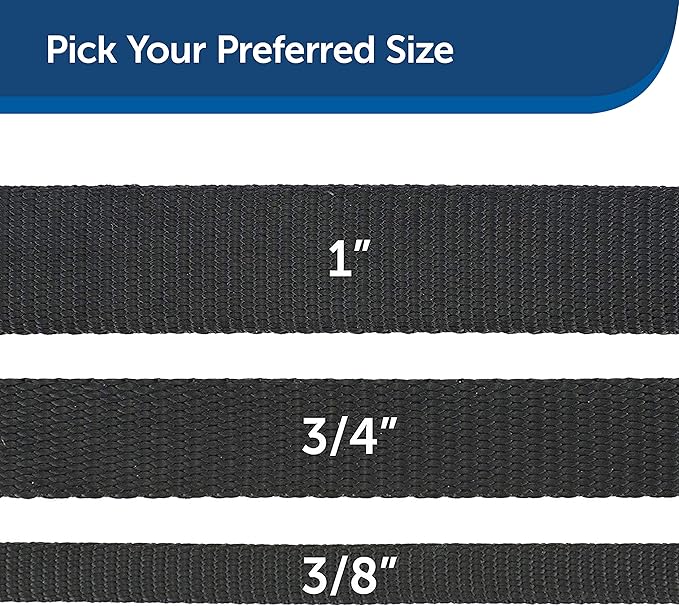Nylon Dog Leash – Strong, Durable, Traditional Style Leash with Easy to Use Bolt Snap for Small, Medium and Large Dogs – 3/8" x 6', Black