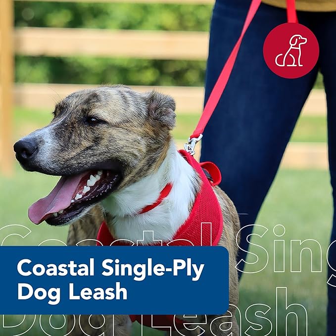 Single-Ply Dog Leash - Sturdy Pet Leash - Comfortable & Stylish - Resists Fraying - Vibrant & Fade-Resistant Color - Neon Pink, 3/8" x 6'