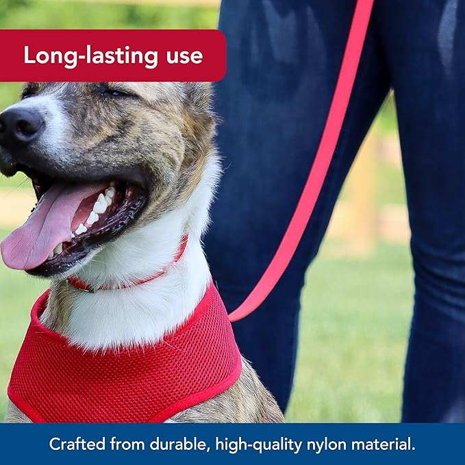 Single-Ply Dog Leash - Sturdy Pet Leash - Comfortable & Stylish - Resists Fraying - Vibrant & Fade-Resistant Color - Neon Pink, 3/8" x 6'