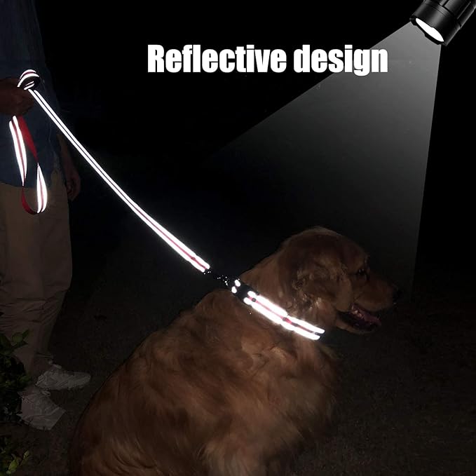 6FT Reflective Dog Leash with Soft Padded Handle for Training,Walking Lead for Large & Medium Dog,1 Inch Wide,Red