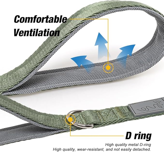 Premium Dog Leash, 4.2 ft Lenght Single Handle Leash, Hook Strong and Breathable Durable, Soft Cushioned Handle, Medium Dogs Leash, for Walking and Training (Orange Size 2)