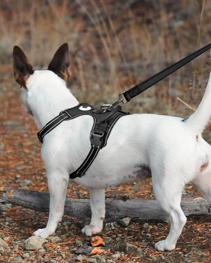 Double-Sided Reflective Dog Leash, 6 FT/5 FT/4 FT, Padded Handle Nylon Heavy Duty Leashes for Medium & Large Dogs Walking, Black, 6FT