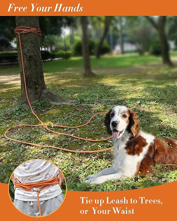 Long Dog Leash for Training 10FT/16FT/20FT/30FT/50FT/100FT, Reflective Tie Out, Heavy Duty Dog Lead for Large, Medium & Small Dogs - Outside Walking, Playing, Camping, Yard