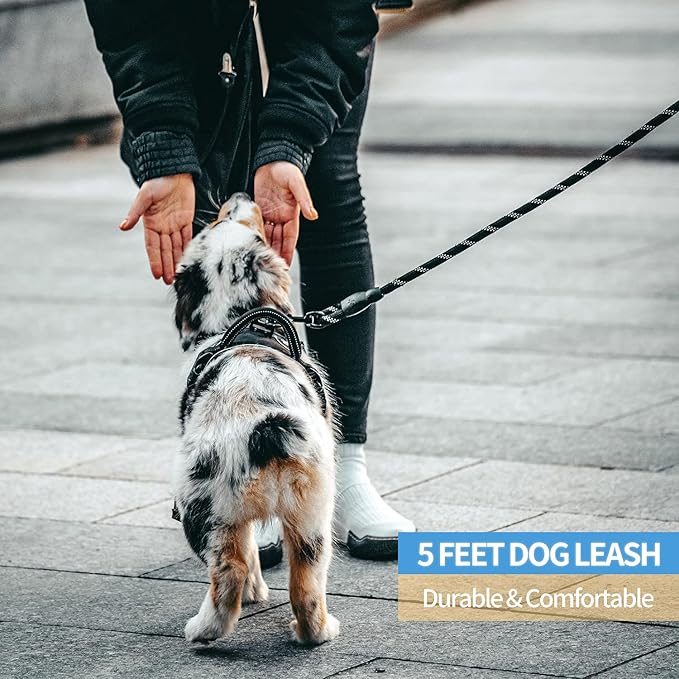 2/4/5/6 FT Dog Leash with Comfortable Padded Handle and Highly Reflective Threads for Small Medium and Large Dogs (5FT-1/2'', Black)