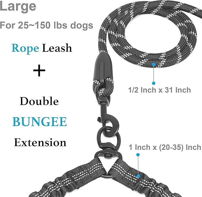 Dual Dog Leash - 360° Swivel, No Tangle Walking Leash with Shock Absorbing Bungee for Two Dogs (Large, 25-150 lbs, Black)