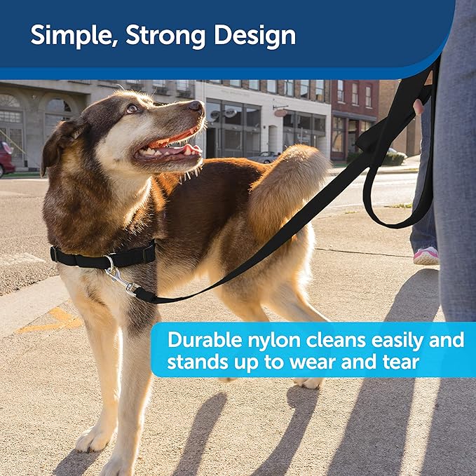 Nylon Dog Leash – Strong, Durable, Traditional Style Leash with Easy to Use Bolt Snap for Small, Medium and Large Dogs – 3/8" x 6', Black