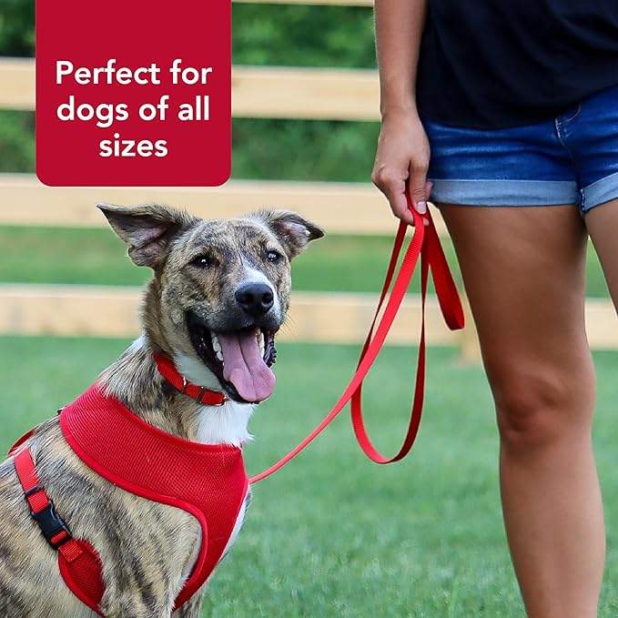 Single-Ply Dog Leash - Sturdy Pet Leash - Comfortable & Stylish - Resists Fraying - Vibrant & Fade-Resistant Color - Neon Pink, 3/8" x 6'